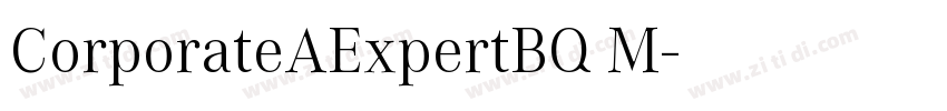 CorporateAExpertBQ M字体转换